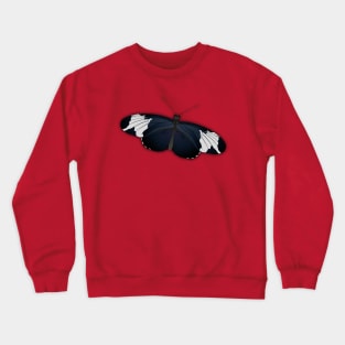 Heliconius sapho or sapho longwing butterfly Crewneck Sweatshirt